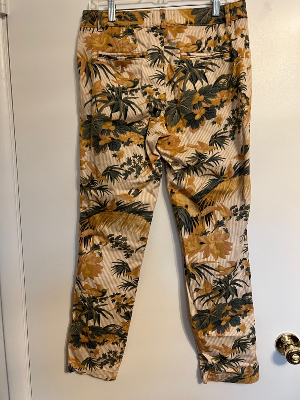 Anthropologie Relaxed Botanical Print Chino Pants 28 / 6 - Picture 7 of 11